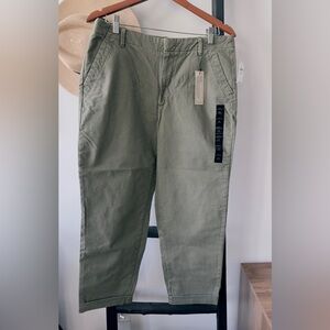 Banana Republic Factory Sage Chinos